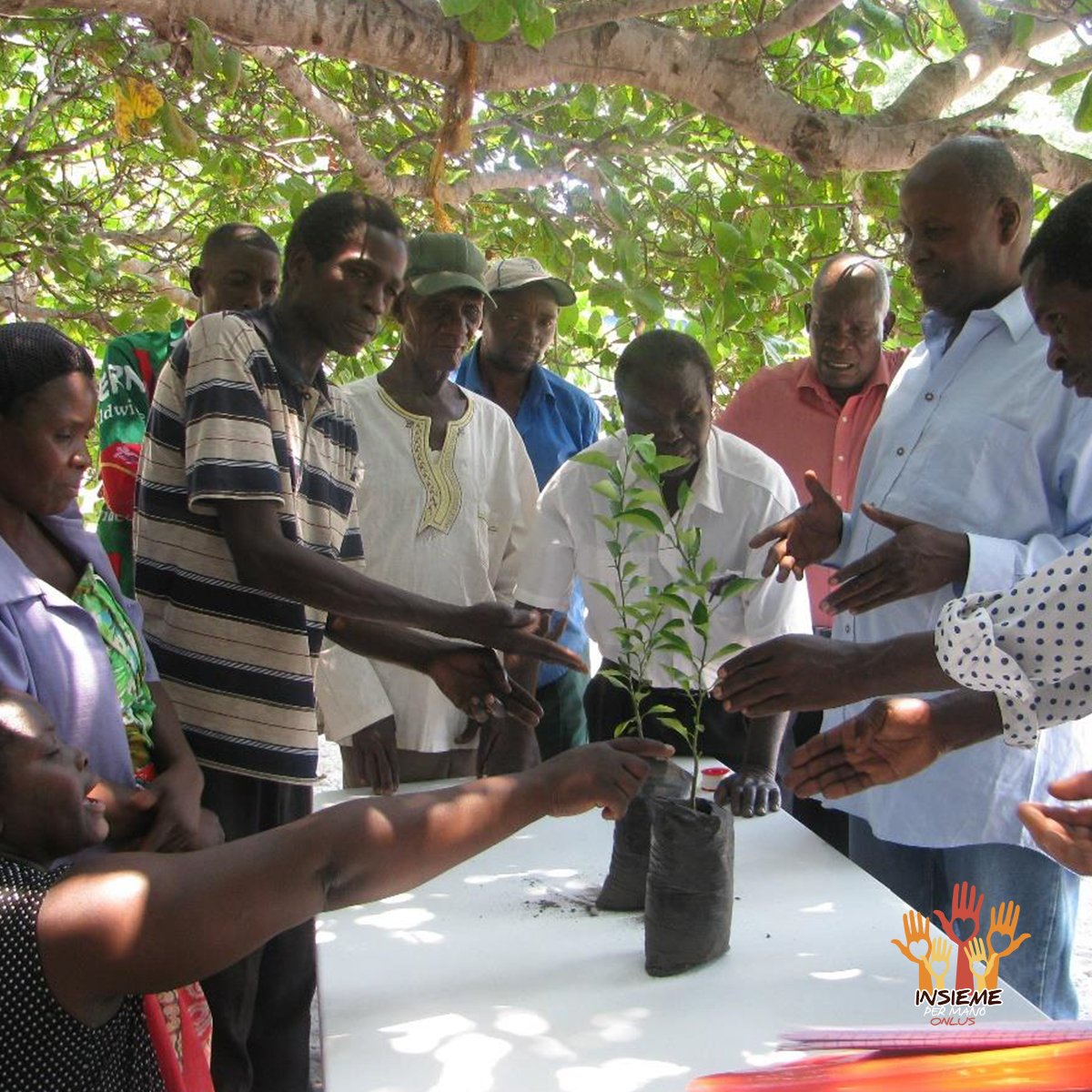 Progetto Madre Terra